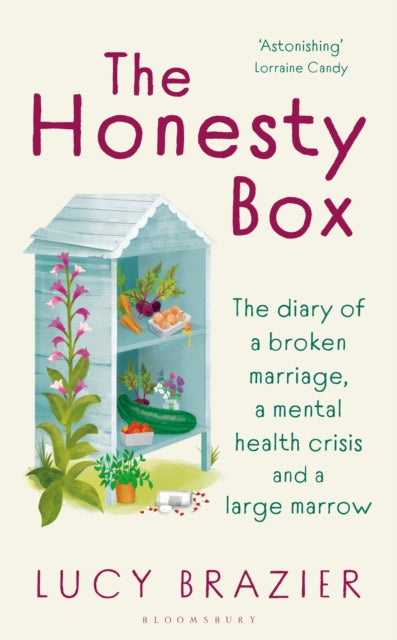 The Honesty Box - 9781526672957