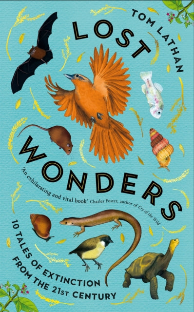 Lost Wonders : 10 Tales of Extinction from the 21st Century - 9781529047929