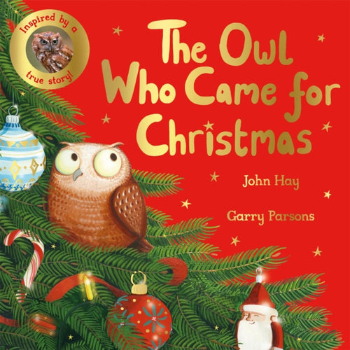 The Owl Who Came for Christmas - 9781529070507