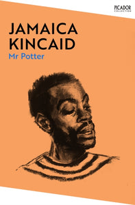 Mr Potter - 9781529076684