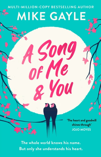 A Song of Me and You : everyone knows this rock star's name: only his first love understands his heart - 9781529344806
