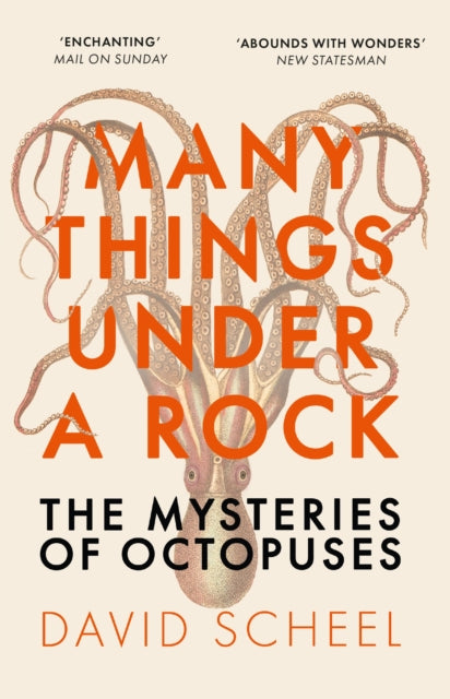 Many Things Under a Rock : The Mysteries of Octopuses - 9781529392647