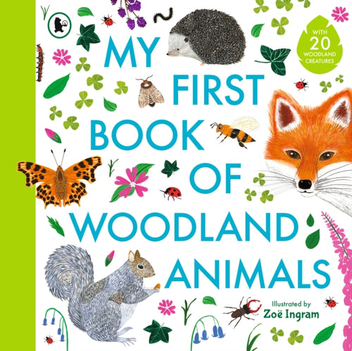 My First Book of Woodland Animals - 9781529519709