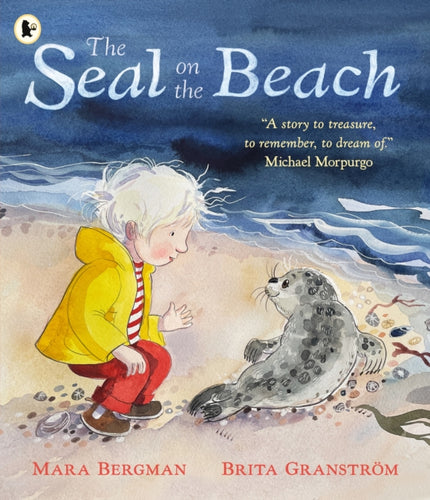 The Seal on the Beach - 9781529523935