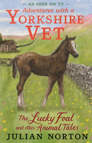 Adventures with a Yorkshire Vet: The Lucky Foal and Other Animal Tales - 9781529525601