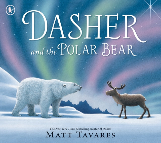 Dasher and the Polar Bear : The third Christmas classic in Matt Tavares' series starring beloved reindeer Dasher, full of festive wonder for ages 3-7 - 9781529532265