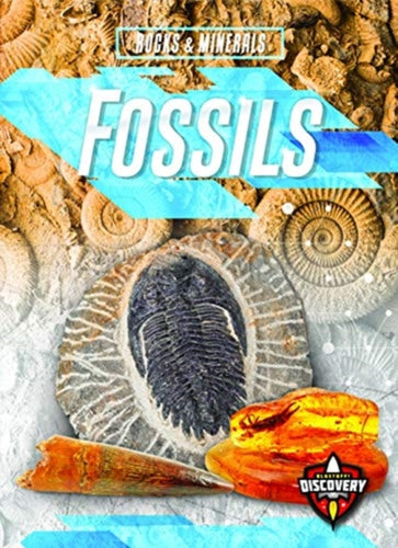 Fossils - 9781644870730