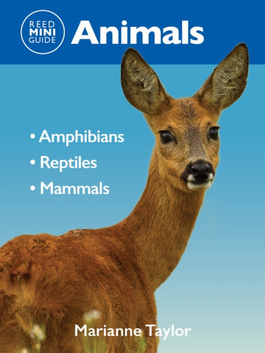 Reed Mini Guide: Animals : Amphibians l Reptiles l Mammals - 9781760796198