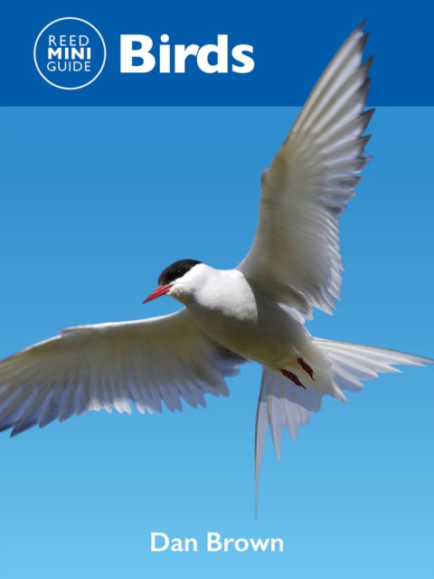 Reed Mini Guide: Birds - 9781760796204