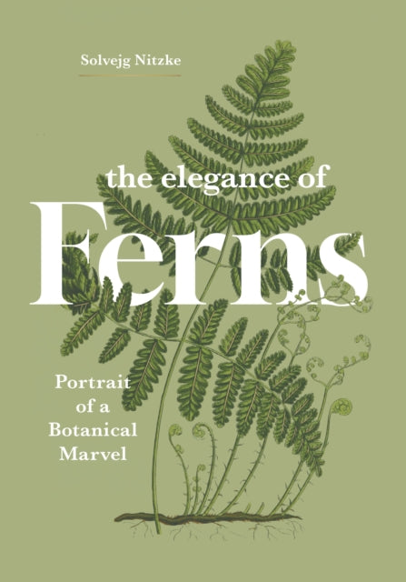 The Elegance of Ferns : Portrait of a Botanical Marvel - 9781778403385