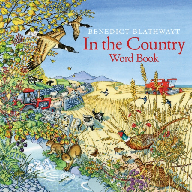 In the Country : Word Book - 9781780279091