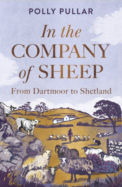 In the Company of Sheep : From Dartmoor to Shetland - 9781780279879