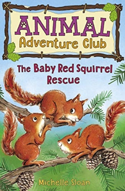 The Baby Red Squirrel Rescue (Animal Adventure Club 3) : 3 - 9781782506669