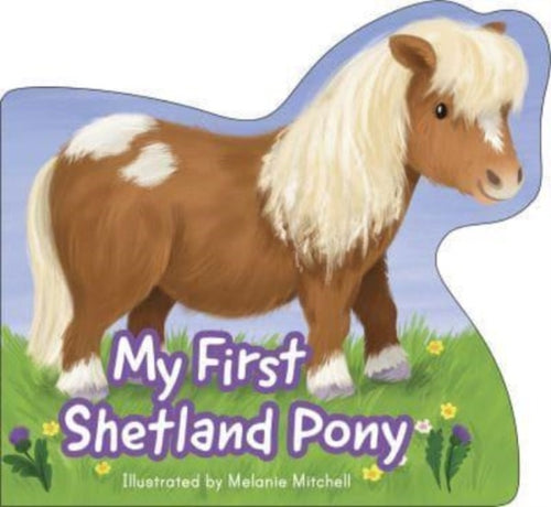 My First Shetland Pony - 9781782508915