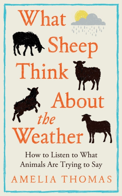What Sheep Think About the Weather : How to listen to what animals are trying to say - 9781783969234