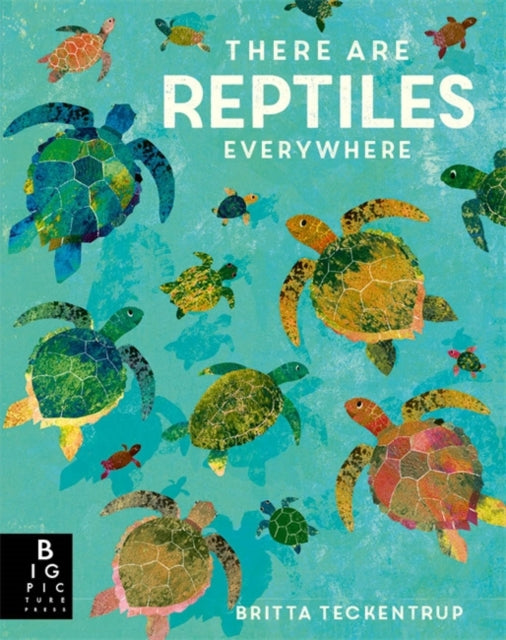 There are Reptiles Everywhere - 9781787419094