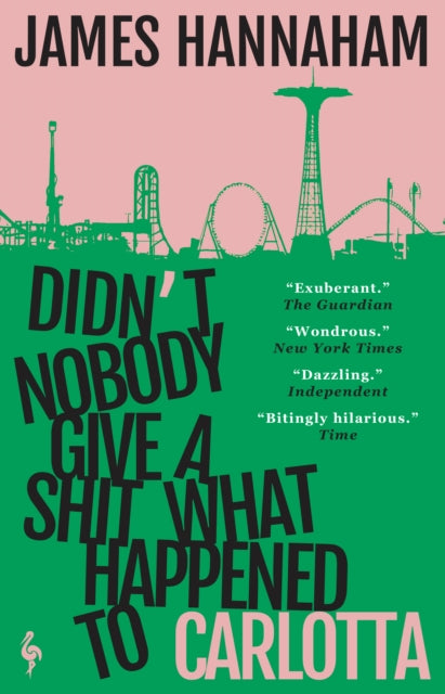 Didn't Nobody Give a Shit What Happened to Carlotta : A novel - 9781787704930