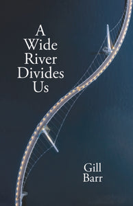 A Wide River Divides Us - 9781788648738