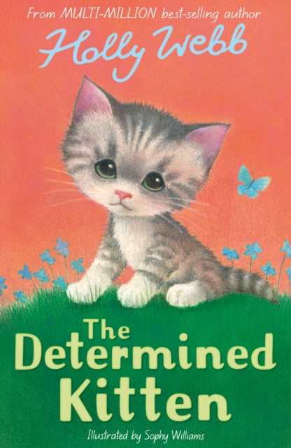 The Determined Kitten - 9781788956505