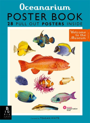Oceanarium Poster Book - 9781800783652