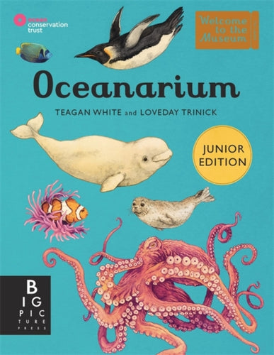 Oceanarium (Junior Edition) - 9781800784895