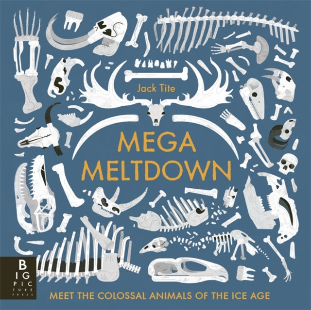 Mega Meltdown - 9781800788022