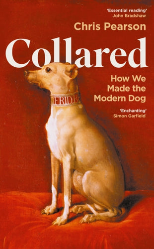 Collared : How We Made the Modern Dog - 9781800816411