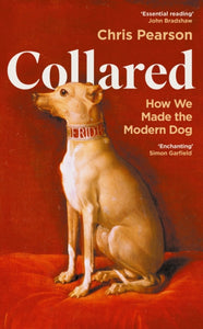 Collared : How We Made the Modern Dog - 9781800816411