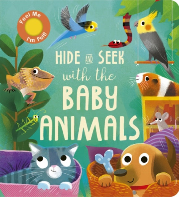 Hide and Seek with the Baby Animals - 9781801043533