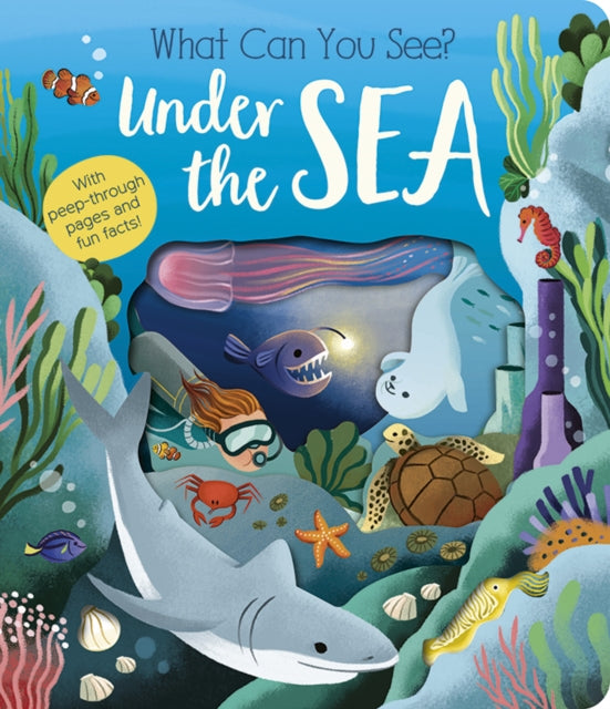 What Can You See? Under the Sea - 9781801045551