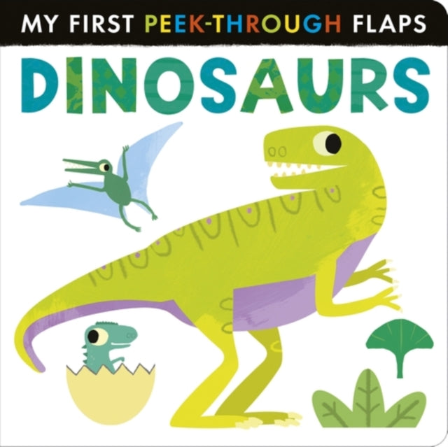 Dinosaurs - 9781801048903