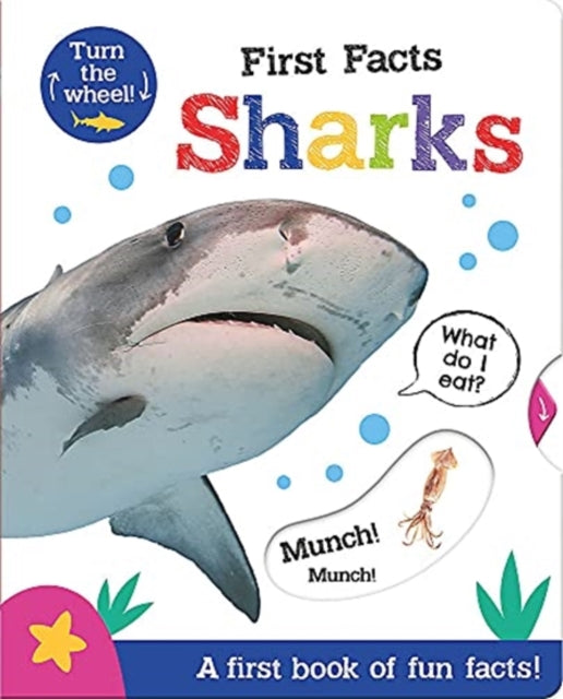 First Facts Sharks - 9781801050425