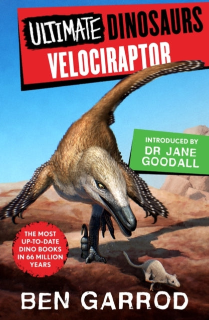 Velociraptor - 9781804549704