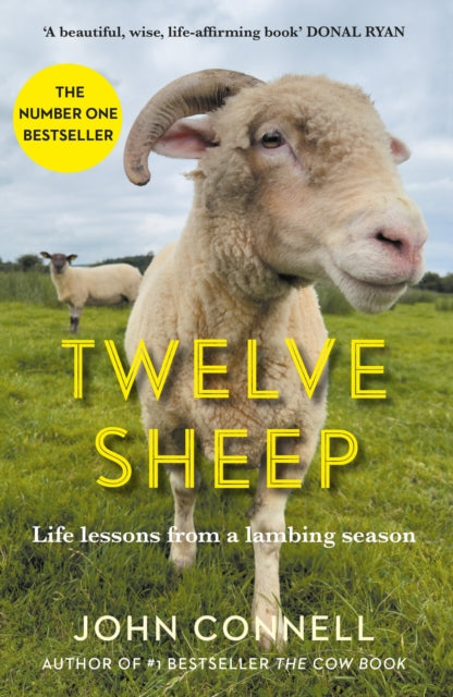 Twelve Sheep : Life lessons from a lambing season - 9781805461906