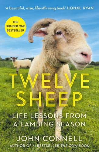 Twelve Sheep : Life lessons from a lambing season - 9781805461920