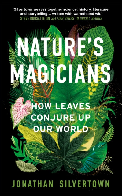 Nature's Magicians : The Hidden Powers of Leaves - 9781836432678
