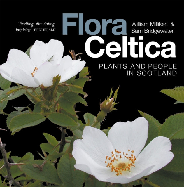 Flora Celtica : Plants and People in Scotland - 9781836920137