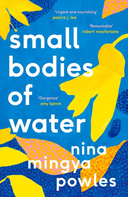 Small Bodies of Water - 9781838852184