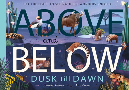 Above and Below: Dusk till Dawn : Lift the flaps to see nature's wonders unfold - 9781838914028