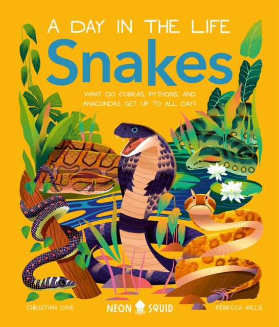 Snakes (A Day in the Life) : What Do Cobras, Pythons, and Anacondas Get Up to All Day? - 9781838993269