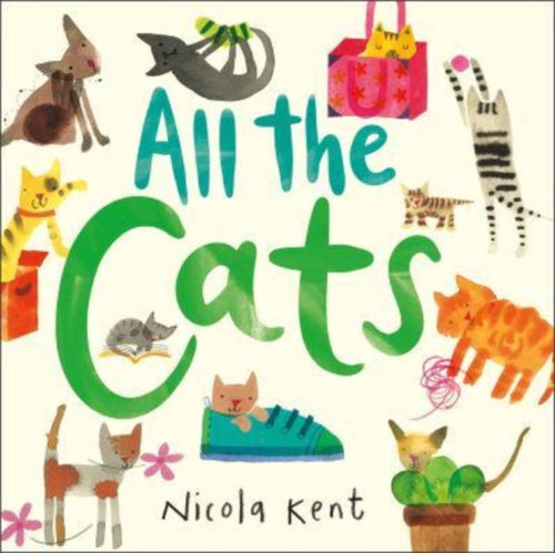 All the Cats - 9781839132308
