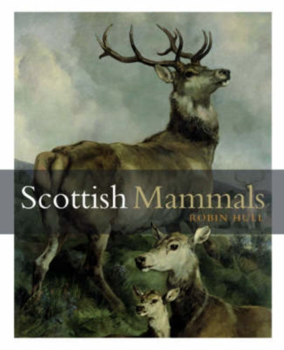 Scottish Mammals - 9781841585369