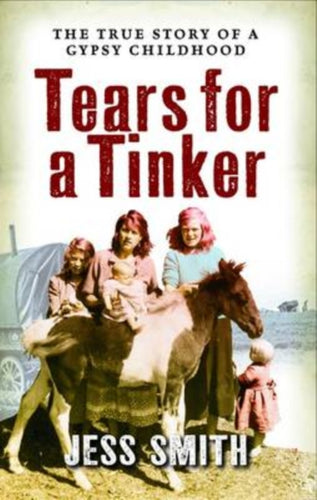 Tears for a Tinker - 9781841587141