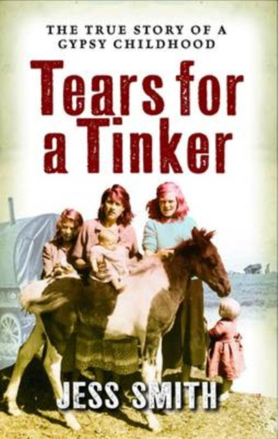 Tears for a Tinker - 9781841587141