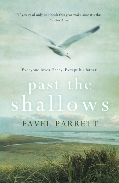 Past the Shallows - 9781848547506