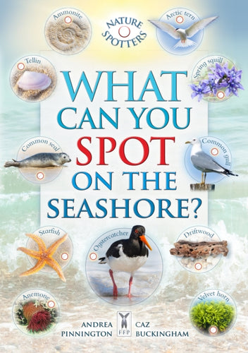 What Can You Spot on the Seashore? - 9781908489708