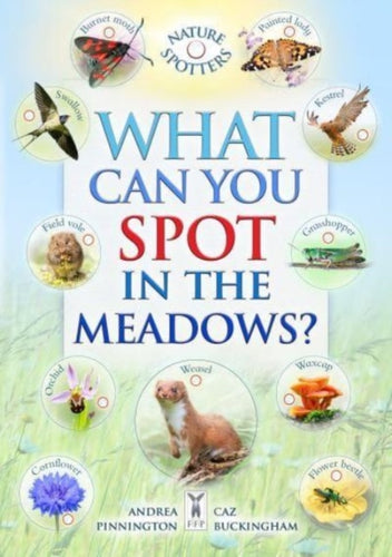 What Can You Spot in the Meadows? - 9781908489739