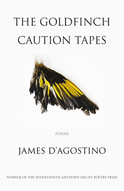 The Goldfinch Caution Tapes : poems - 9781911379126