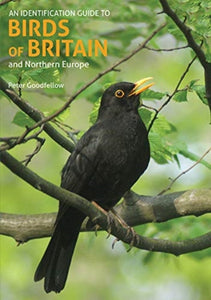 An Identification Guide to Birds of Britain and Northern Europe (2nd edition) - 9781912081981