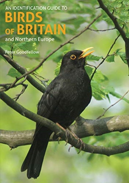 An Identification Guide to Birds of Britain and Northern Europe (2nd edition) - 9781912081981